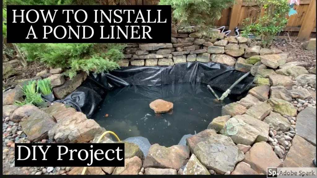 How to Build a Pond With a Pond Liner