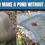 How to Build a Pond Without a Liner