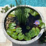How to Build a Pond Without a Pump