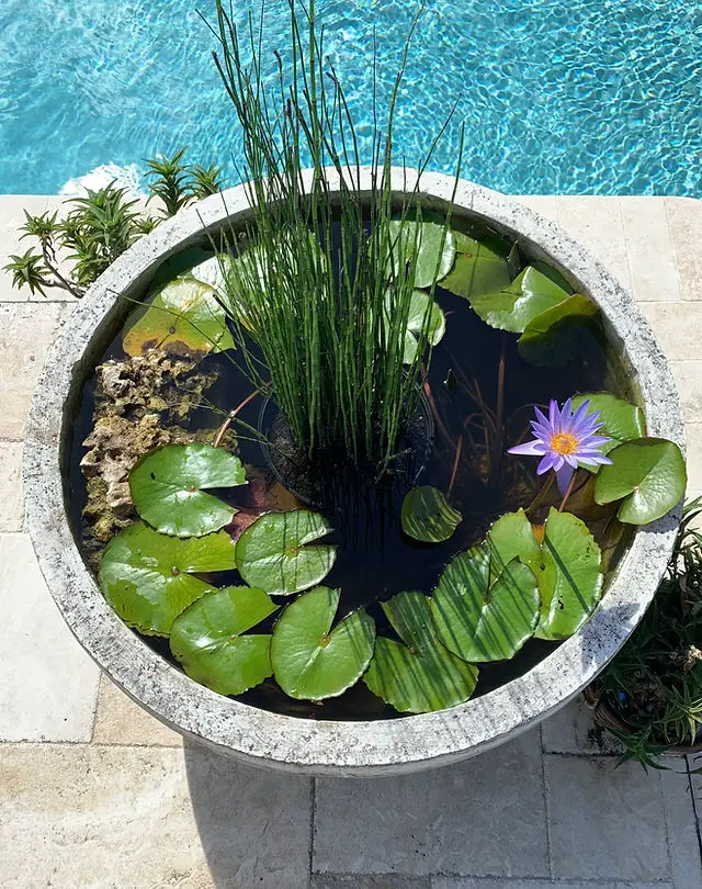 How to Build a Pond Without Digging