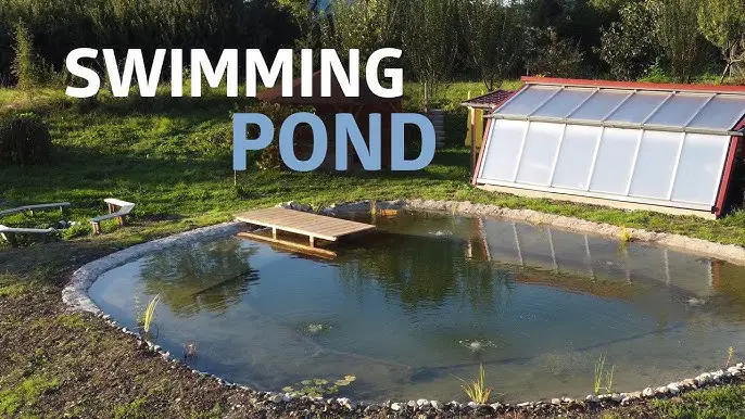 How to Build a Pond Youtube