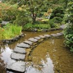 How to Build a Rainwater Pond