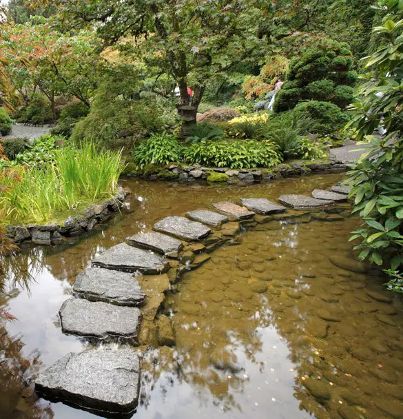 How to Build a Rainwater Pond