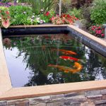 How to Build a Raised Koi Pond