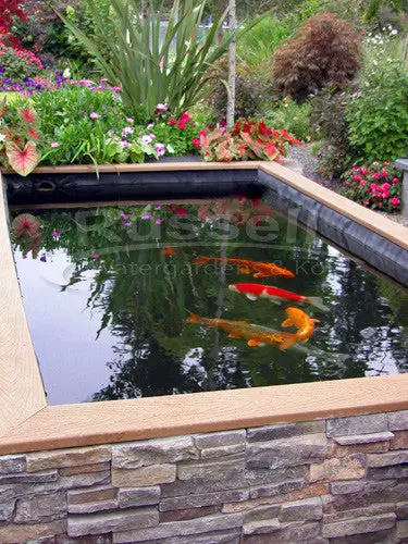 How to Build a Raised Koi Pond