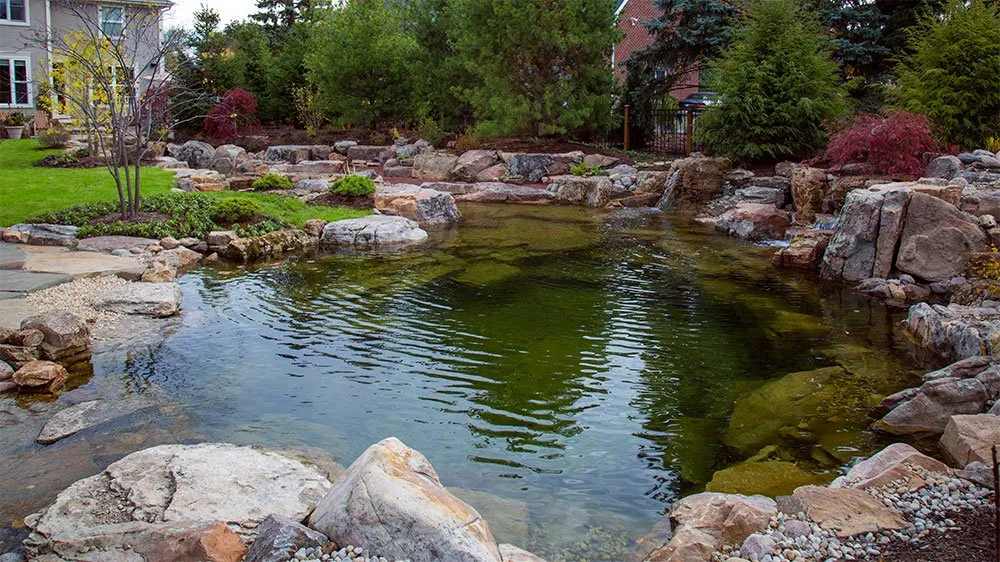 How to Build a Recreational Pond