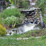 How to Build a Self-Sustaining Pond