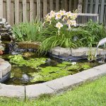 How to Build a Small Fish Pond in Your Backyard