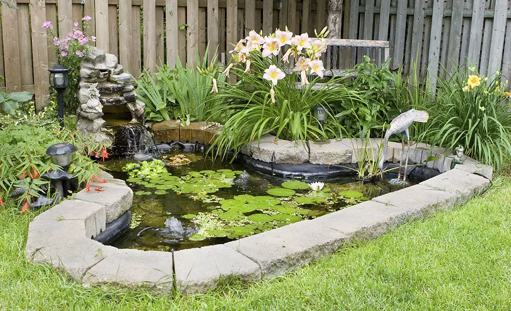 How to Build a Small Fish Pond in Your Backyard