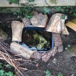 How to Build a Small Frog Pond