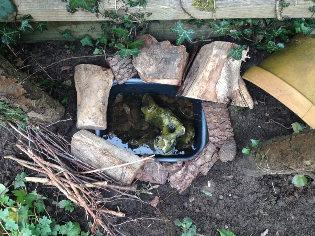 How to Build a Small Frog Pond