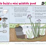 How to Build a Small Garden Pond from a Container
