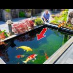 How to Build a Small Koi Fish Pond