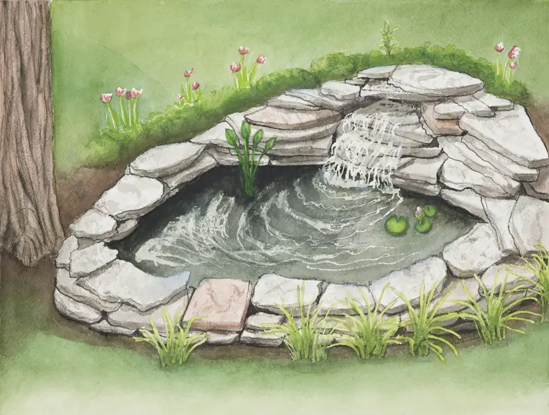 How to Build a Small Pond in Your Yard