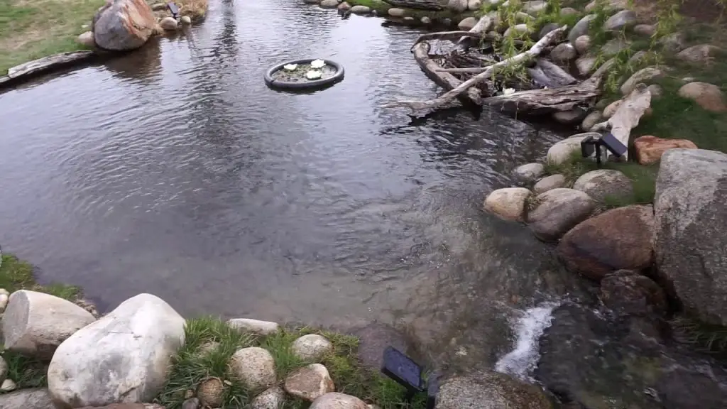 How to Build a Small Trout Pond