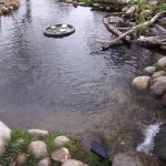 How to Build a Small Trout Pond