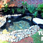 How to Build a Small Turtle Pond