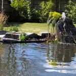 How to Build a Stone Pond