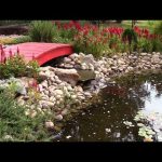 How to Build a Stream And Pond