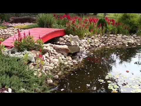 How to Build a Stream And Pond