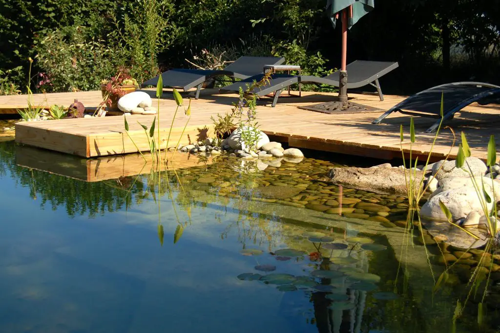 How to Build a Swimming Pond in Your Backyard