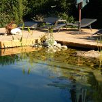 How to Build a Swimming Pond in Your Backyard