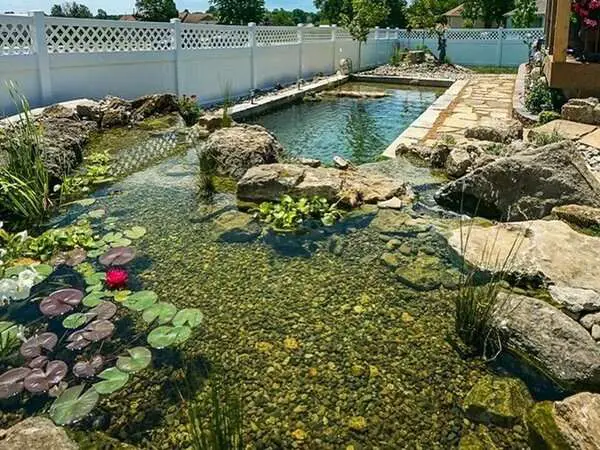 How to Build a Swimming Pond in Your Yard