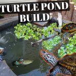 How to Build a Turtle Pond