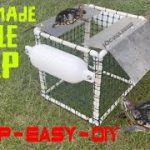 How to Build a Turtle Trap for a Pond
