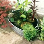 How to Build a Wildlife Pond Gardeners World