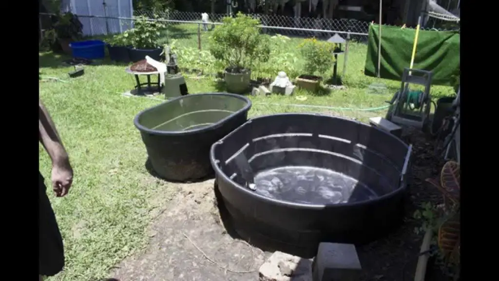 How to Build an above Ground Fish Pond