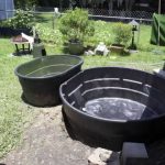 How to Build an above Ground Fish Pond