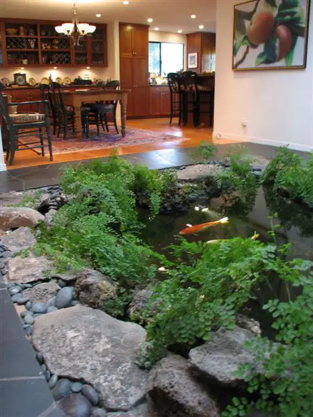 How to Build an Indoor Koi Pond