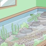 How to Build an Indoor Pond