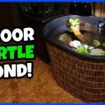 How to Build an Indoor Turtle Pond