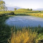 How to Build an Irrigation Pond