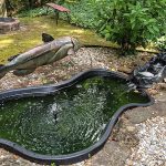 How to Build Your Own Fish Pond