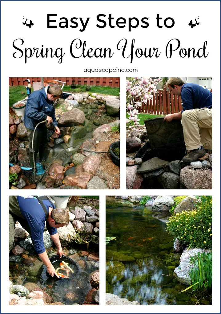 How to Clean a Fish Pond