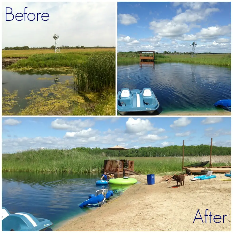 How to Clean a Natural Pond