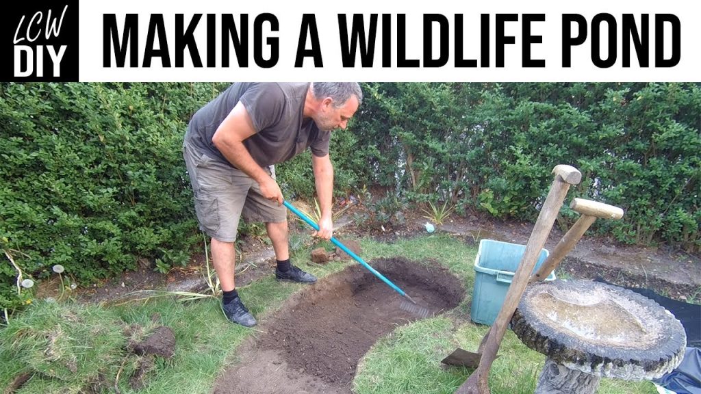 How to Dig a Small Pond