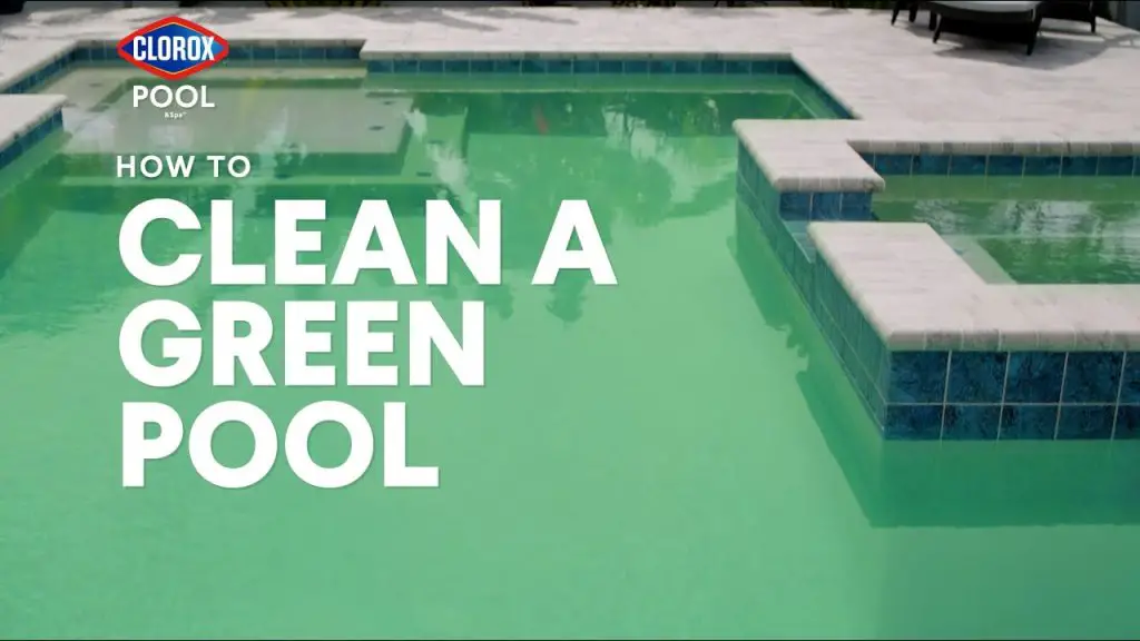 How to Fix a Green Pool