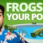 How to Get Rid of Frogs in Pool