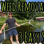 How to Get Rid of Pond Grass