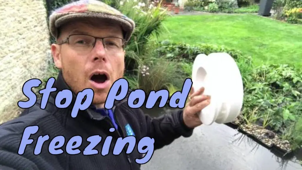 How to Keep a Pond from Freezing