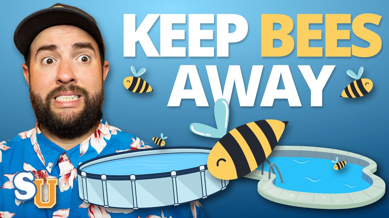 How to Keep Bees Away from the Pool BuzzFree Tips