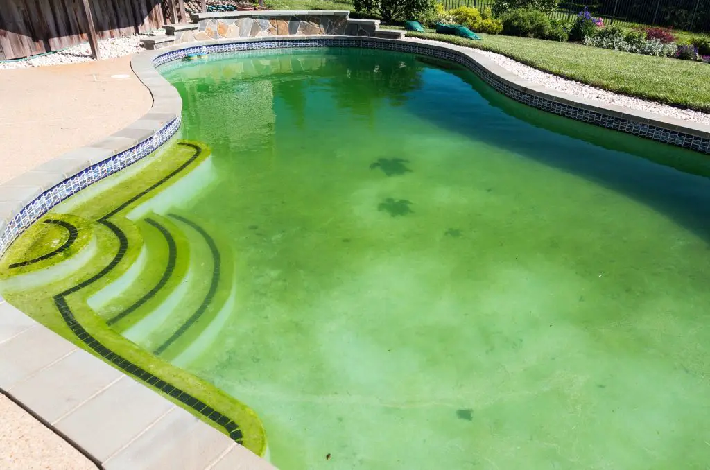 How to Lower Phosphates in Pool