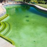How to Lower Phosphates in Pool