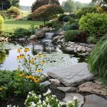 How to Make a Natural Pond