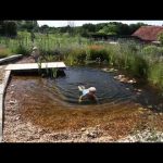 How to Make a Swimming Pond