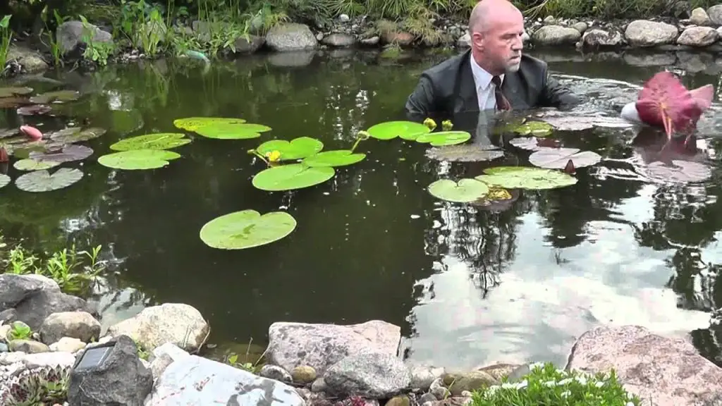 How to Plant Water Lilies in a Deep Pond